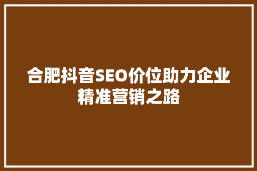 合肥抖音SEO价位助力企业精准营销之路