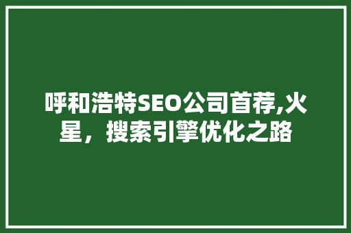 呼和浩特SEO公司首荐,火星，搜索引擎优化之路