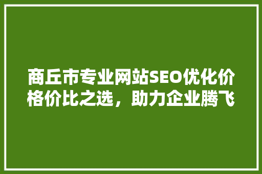 商丘市专业网站SEO优化价格价比之选，助力企业腾飞