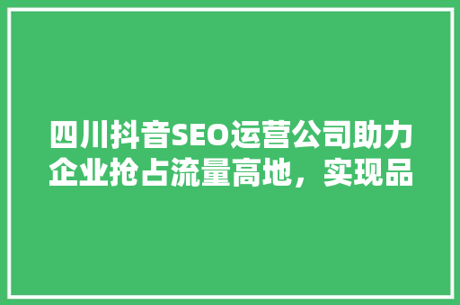 四川抖音SEO运营公司助力企业抢占流量高地，实现品牌飞跃