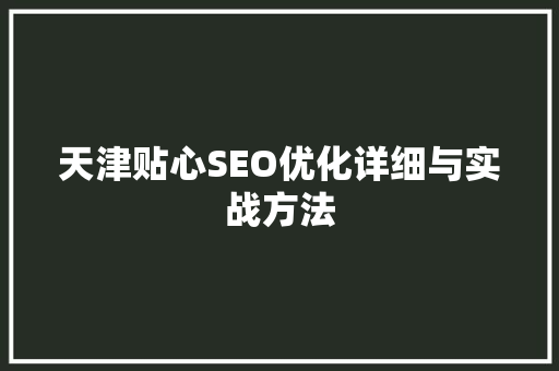 天津贴心SEO优化详细与实战方法