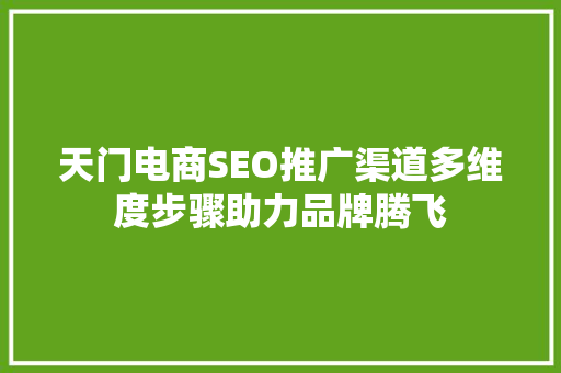 天门电商SEO推广渠道多维度步骤助力品牌腾飞