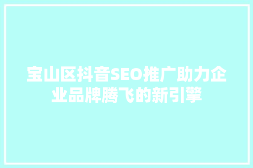 宝山区抖音SEO推广助力企业品牌腾飞的新引擎