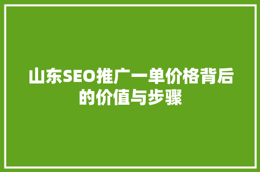 山东SEO推广一单价格背后的价值与步骤