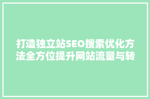打造独立站SEO搜索优化方法全方位提升网站流量与转化率  第1张
