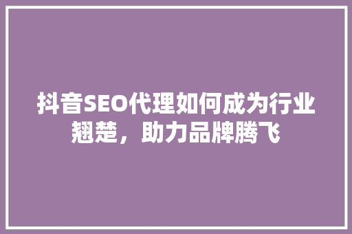 抖音SEO代理如何成为行业翘楚，助力品牌腾飞