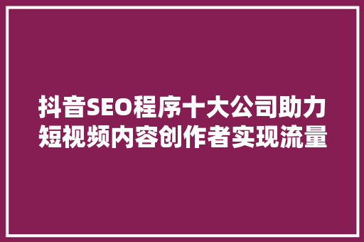 抖音SEO程序十大公司助力短视频内容创作者实现流量爆发