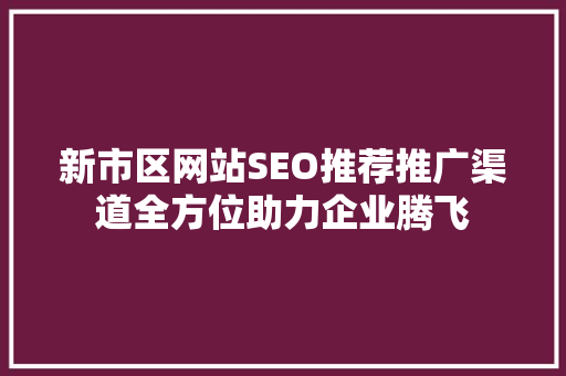 新市区网站SEO推荐推广渠道全方位助力企业腾飞