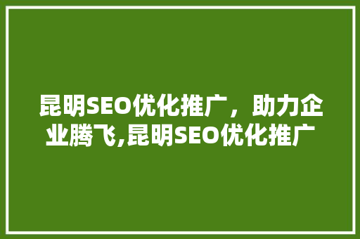 昆明SEO优化推广，助力企业腾飞,昆明SEO优化推广电话及步骤  第1张