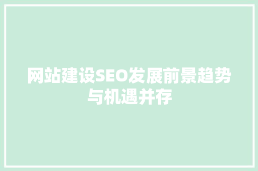 网站建设SEO发展前景趋势与机遇并存