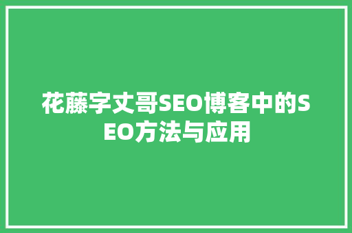 花藤字丈哥SEO博客中的SEO方法与应用