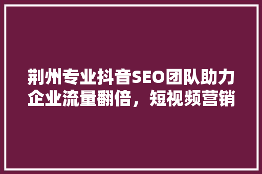 荆州专业抖音SEO团队助力企业流量翻倍，短视频营销新趋势