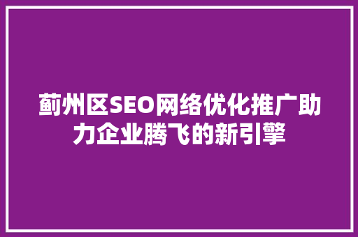 蓟州区SEO网络优化推广助力企业腾飞的新引擎