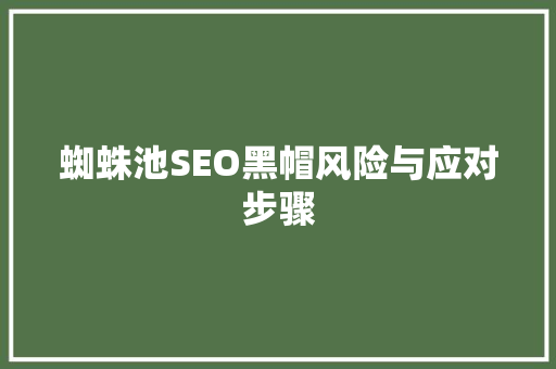 蜘蛛池SEO黑帽风险与应对步骤