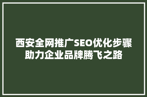 西安全网推广SEO优化步骤助力企业品牌腾飞之路
