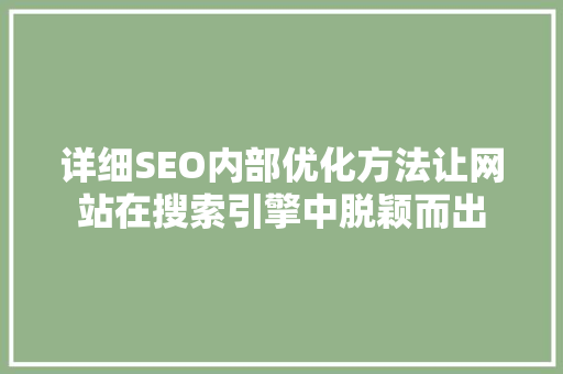 详细SEO内部优化方法让网站在搜索引擎中脱颖而出