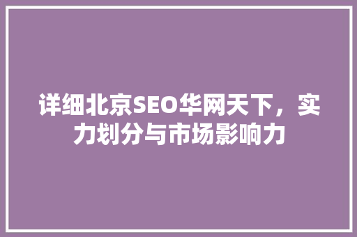 详细北京SEO华网天下，实力划分与市场影响力