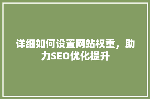 详细如何设置网站权重，助力SEO优化提升