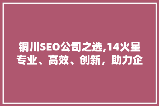 铜川SEO公司之选,14火星专业、高效、创新，助力企业互联网营销