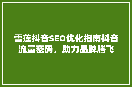 雪莲抖音SEO优化指南抖音流量密码，助力品牌腾飞