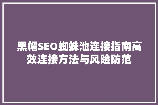 黑帽SEO蜘蛛池连接指南高效连接方法与风险防范
