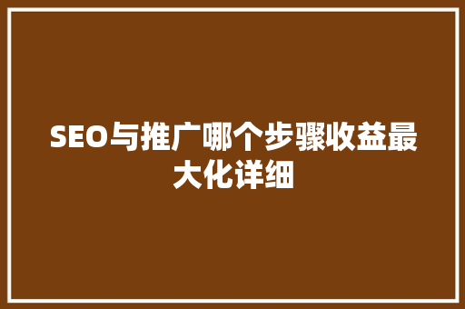 SEO与推广哪个步骤收益最大化详细