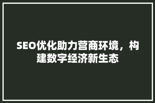 SEO优化助力营商环境，构建数字经济新生态