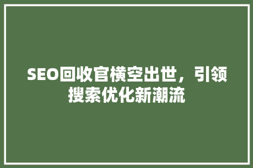 SEO回收官横空出世，引领搜索优化新潮流