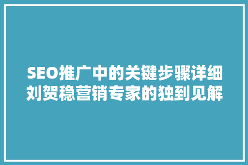 SEO推广中的关键步骤详细刘贺稳营销专家的独到见解