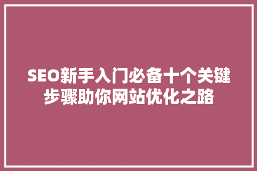 SEO新手入门必备十个关键步骤助你网站优化之路