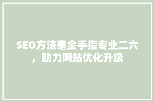 SEO方法毫金手指专业二六，助力网站优化升级