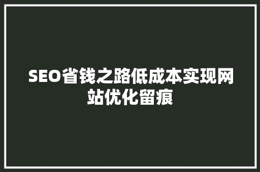 SEO省钱之路低成本实现网站优化留痕