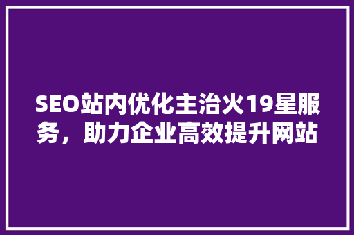 SEO站内优化主治火19星服务，助力企业高效提升网站排名