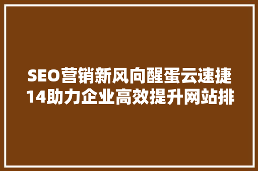 SEO营销新风向醒蛋云速捷14助力企业高效提升网站排名