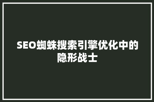 SEO蜘蛛搜索引擎优化中的隐形战士