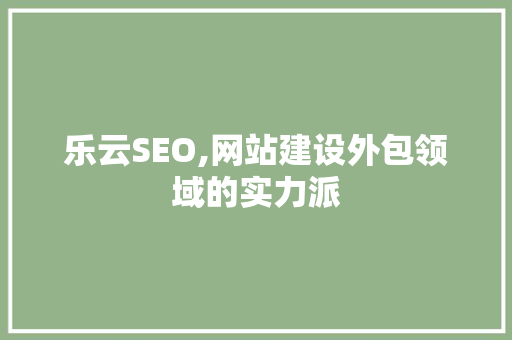 乐云SEO,网站建设外包领域的实力派