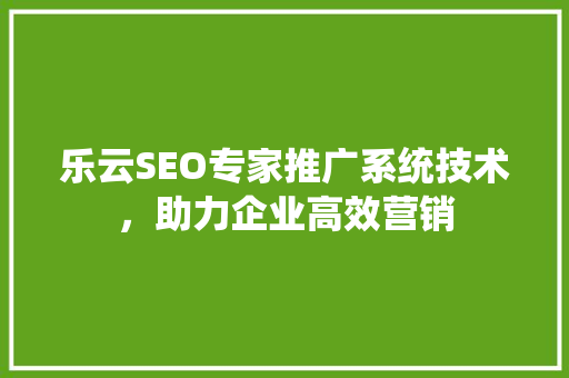 乐云SEO专家推广系统技术，助力企业高效营销
