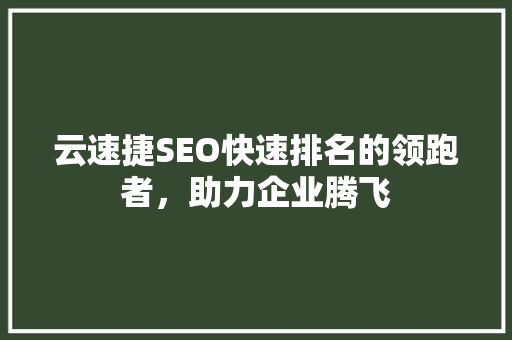 云速捷SEO快速排名的领跑者，助力企业腾飞