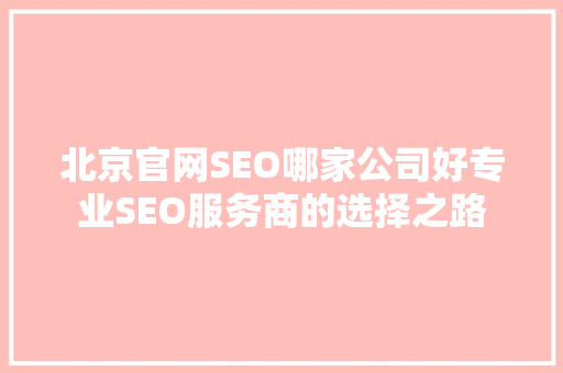 北京官网SEO哪家公司好专业SEO服务商的选择之路