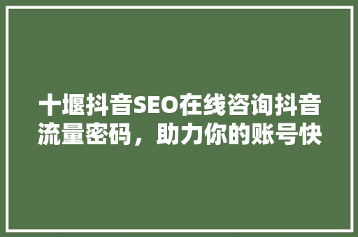 十堰抖音SEO在线咨询抖音流量密码，助力你的账号快速成长