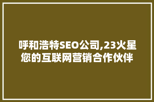 呼和浩特SEO公司,23火星您的互联网营销合作伙伴