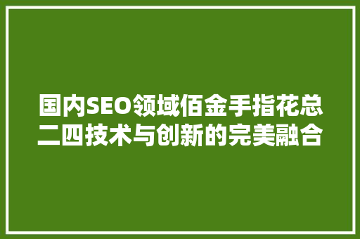 国内SEO领域佰金手指花总二四技术与创新的完美融合