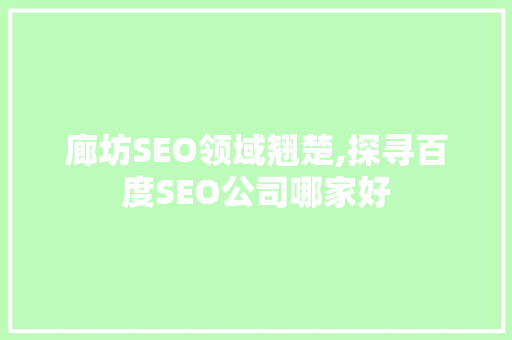 廊坊SEO领域翘楚,探寻百度SEO公司哪家好