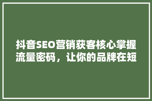 抖音SEO营销获客核心掌握流量密码，让你的品牌在短视频时代脱颖而出