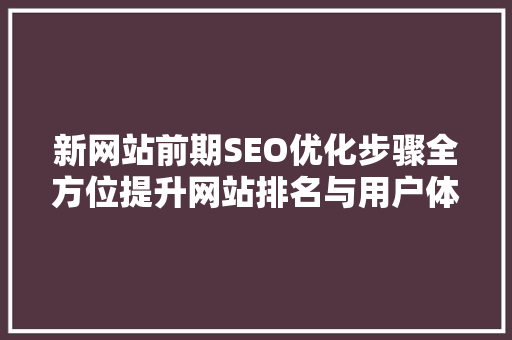 新网站前期SEO优化步骤全方位提升网站排名与用户体验