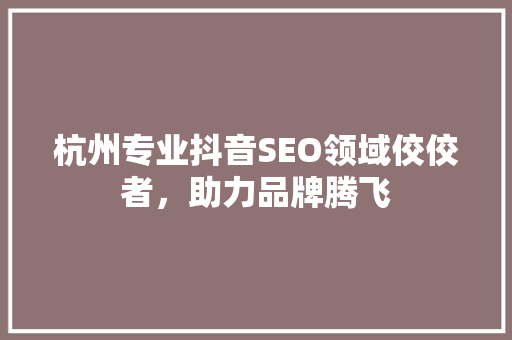 杭州专业抖音SEO领域佼佼者，助力品牌腾飞