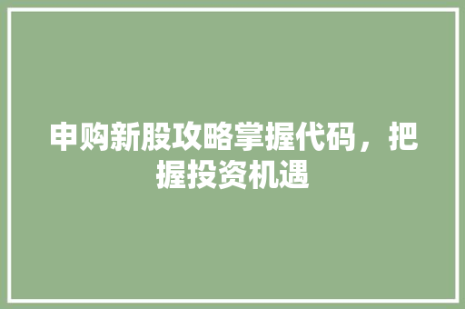 申购新股攻略掌握代码，把握投资机遇