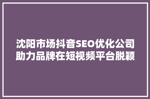 沈阳市场抖音SEO优化公司助力品牌在短视频平台脱颖而出