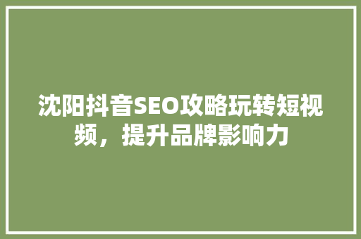 沈阳抖音SEO攻略玩转短视频，提升品牌影响力