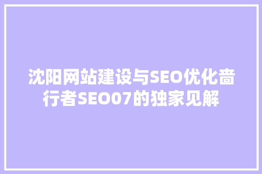 沈阳网站建设与SEO优化啬行者SEO07的独家见解